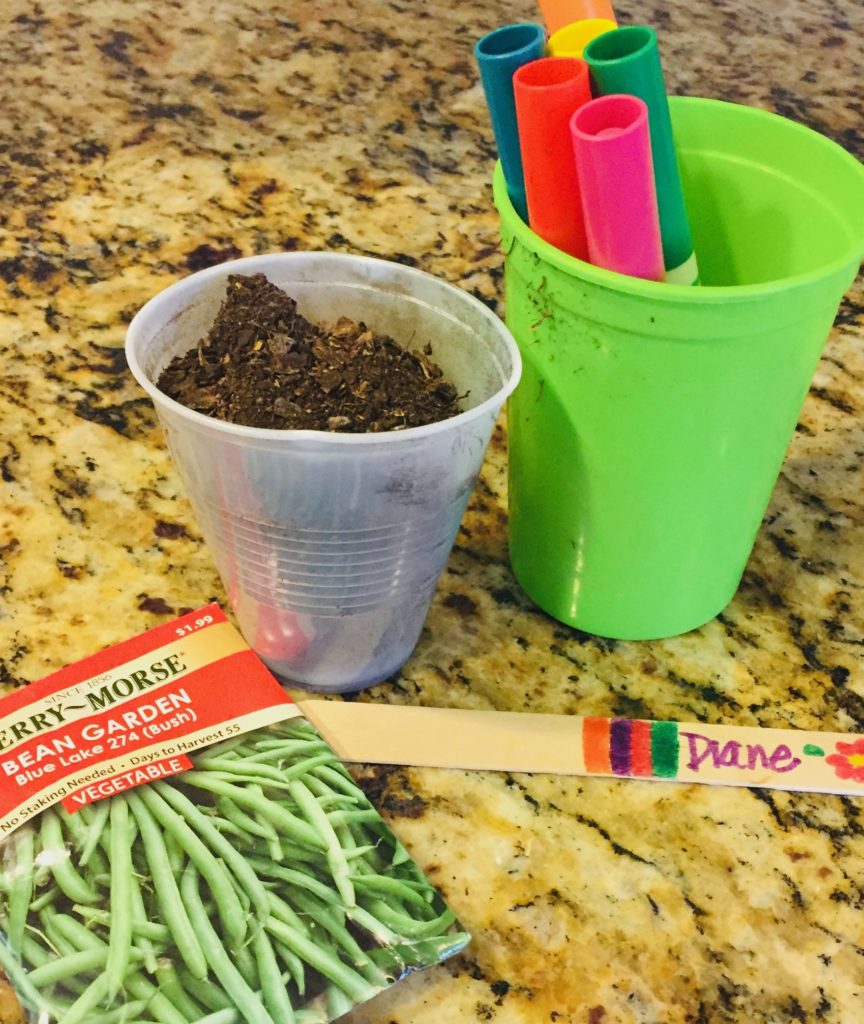 preschool-science-center-planting