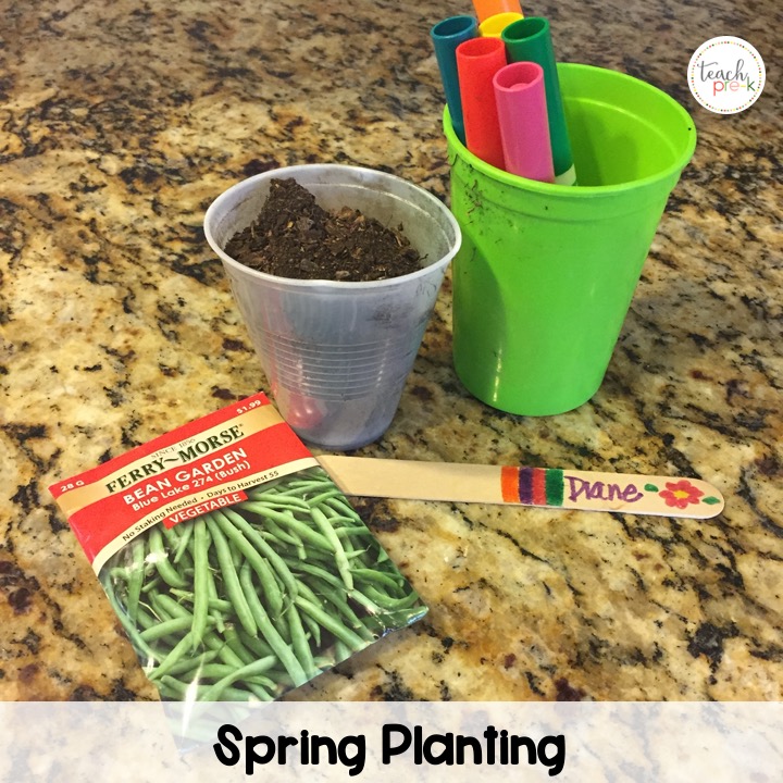 preschool-spring-activities-science