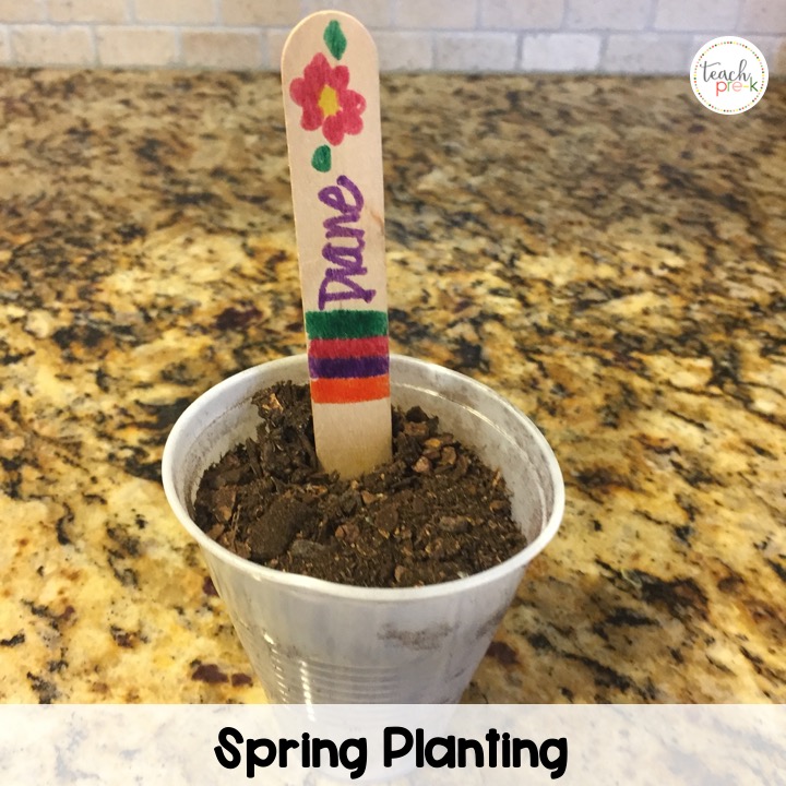 preschool-spring-activities-science