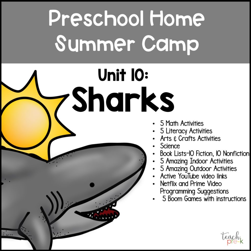 preschool-summer-camp-themes