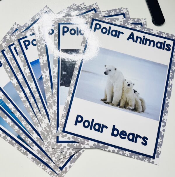 Polar animals lesson plan
