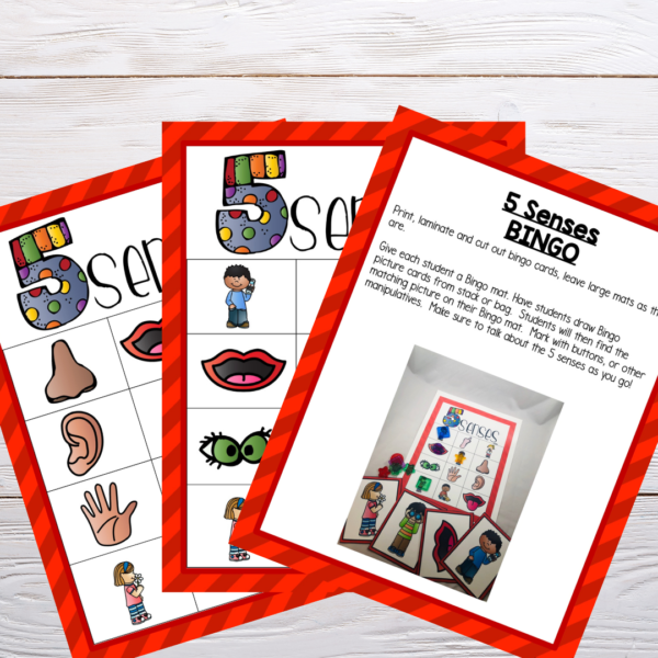 5-senses-preschool-activities
