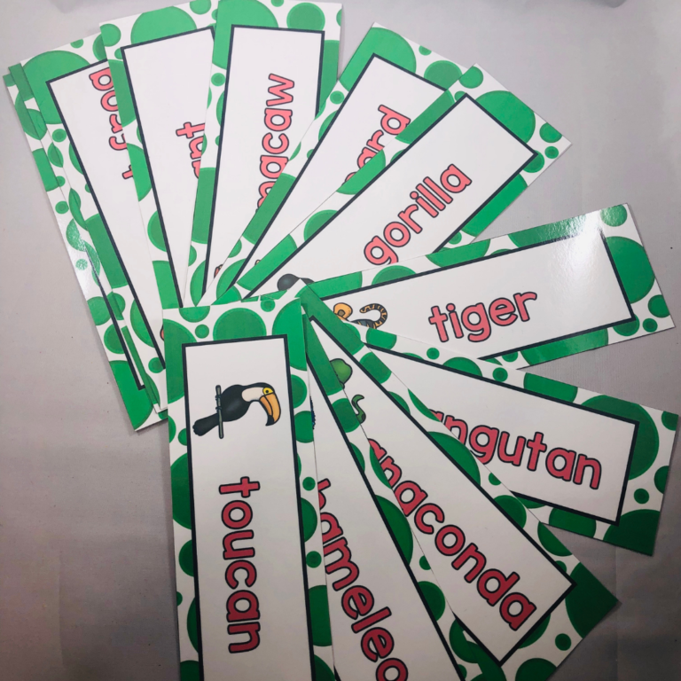 Rainforest Theme Activities For Preschool Teach Pre K