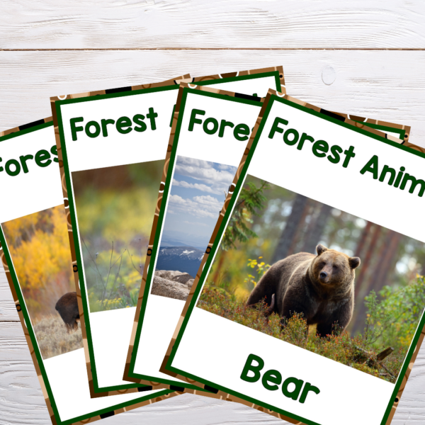 forest-animals-preschool